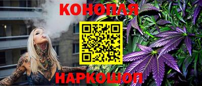 прущие грибы Абакан