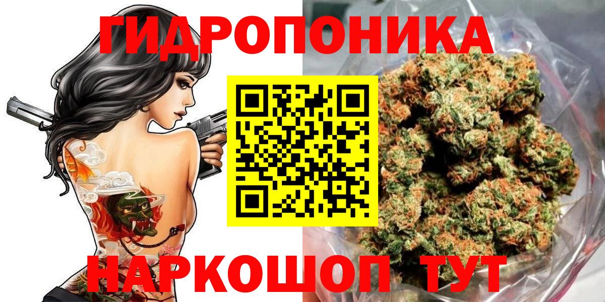 Каннабис конопля  Каннабис ГИДРОПОН  Апатиты  Шишки марихуана конопля  Каннабис тримм  Вход с VPN 